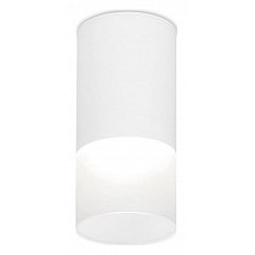 Накладной светильник ambrella light tn tn231